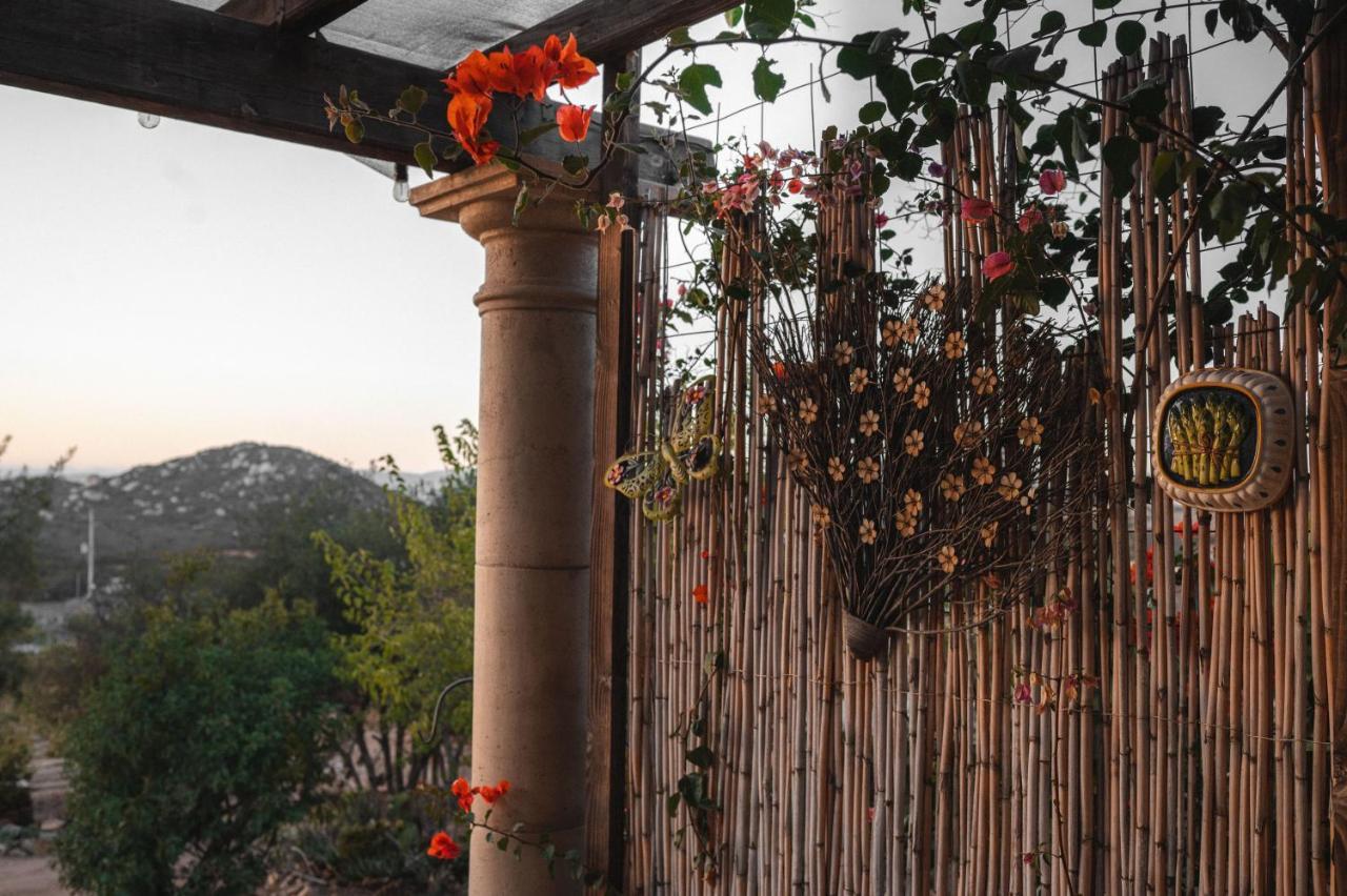 Bed and Breakfast Vina Calabria Valle de Guadalupe Exterior foto