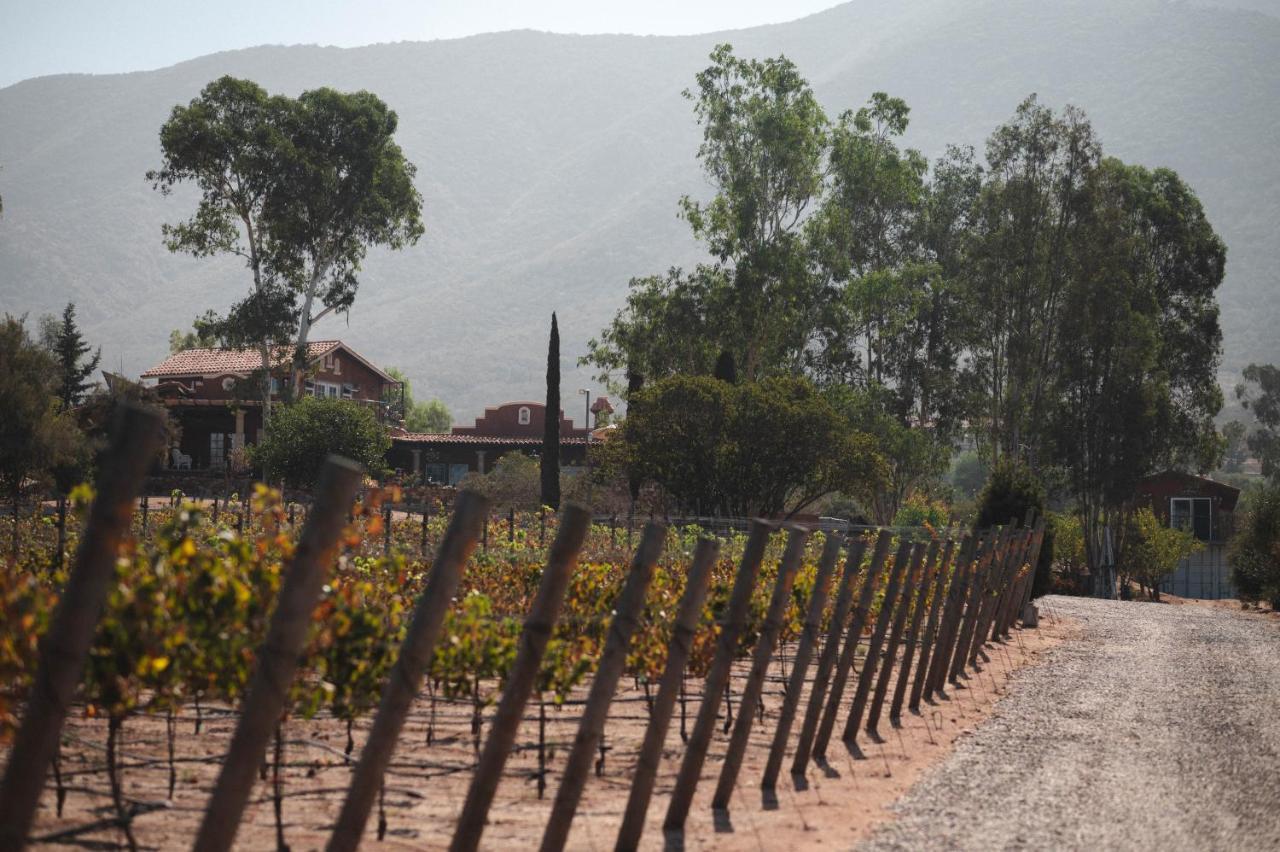 Bed and Breakfast Vina Calabria Valle de Guadalupe Exterior foto
