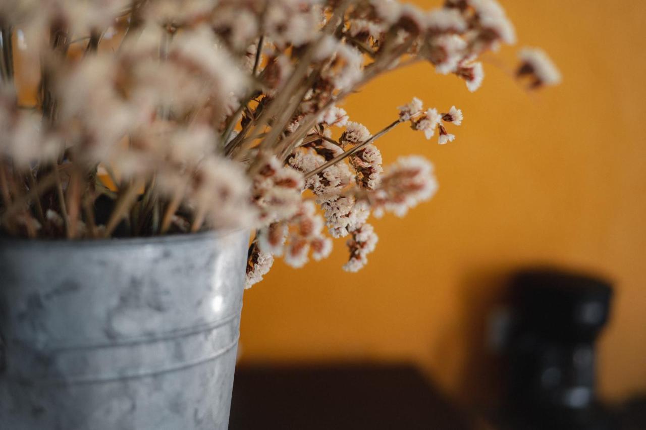 Bed and Breakfast Vina Calabria Valle de Guadalupe Exterior foto
