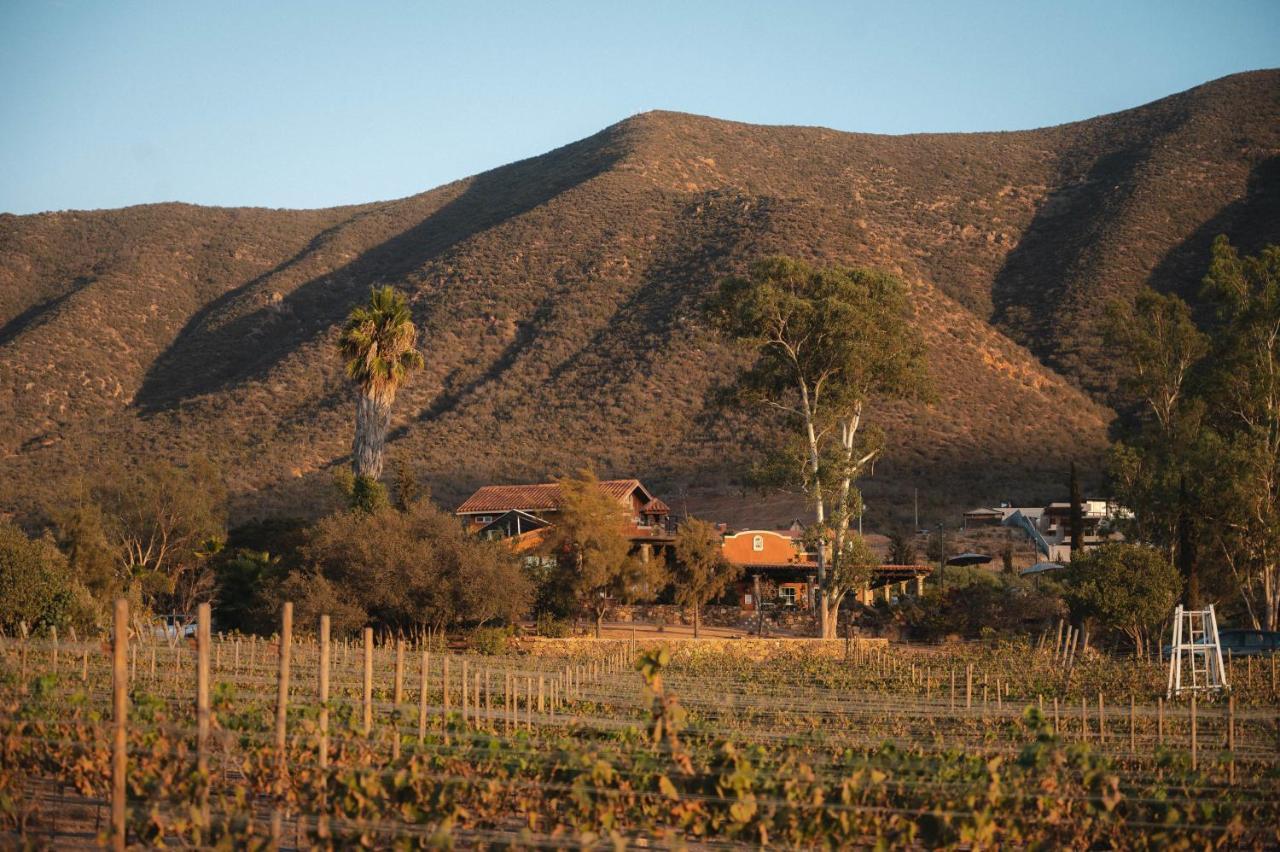Bed and Breakfast Vina Calabria Valle de Guadalupe Exterior foto